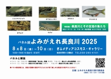 ݂꒷ǐ2025